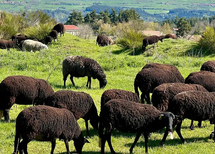 L'ostal De Soubrey Bed & Breakfast
